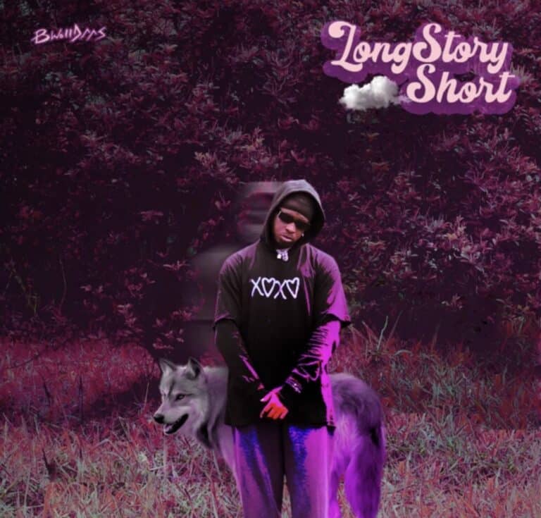 Long story short cover art