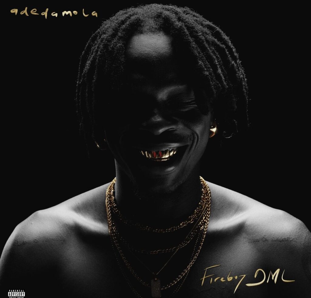 Adedamola, Fireboy DML’s new album