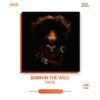 Top 10 African Albums from 2024 | Born in the Wild Tems |