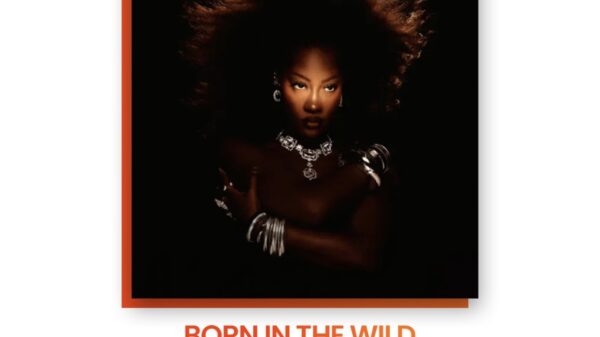 Top 10 African Albums from 2024 | Born in the Wild Tems |