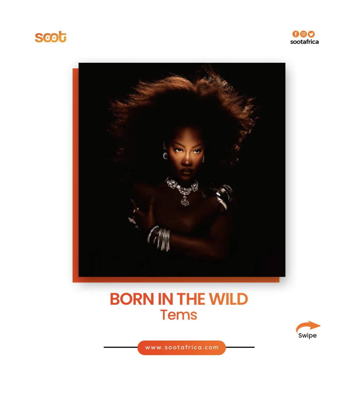 Top 10 African Albums from 2024 | Born in the Wild Tems |