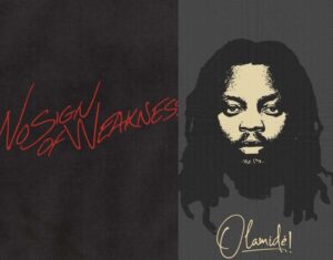 Upcoming Afrobeats Albums of 2025