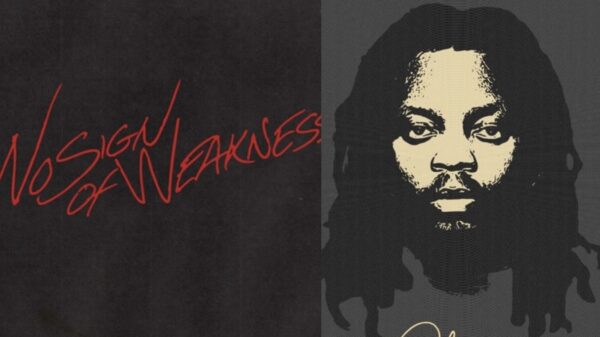 Upcoming Afrobeats Albums of 2025